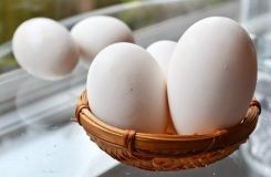 Mơ thấy trứng ngỗng đánh con gì? Mang lại ý nghĩa gì?